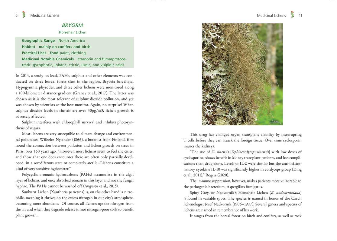 Medicinal Lichens by Robert Dale Rogers