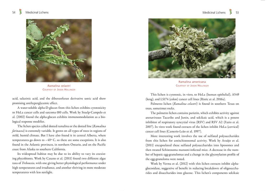 Medicinal Lichens by Robert Dale Rogers