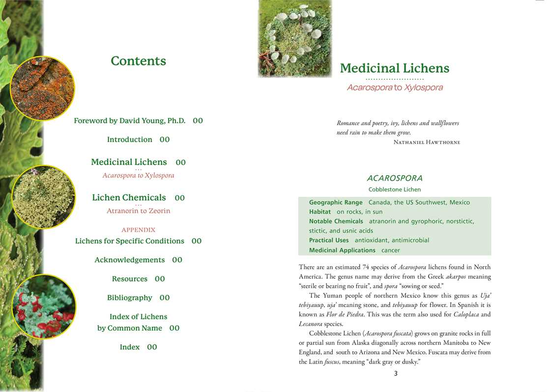 Medicinal Lichens by Robert Dale Rogers