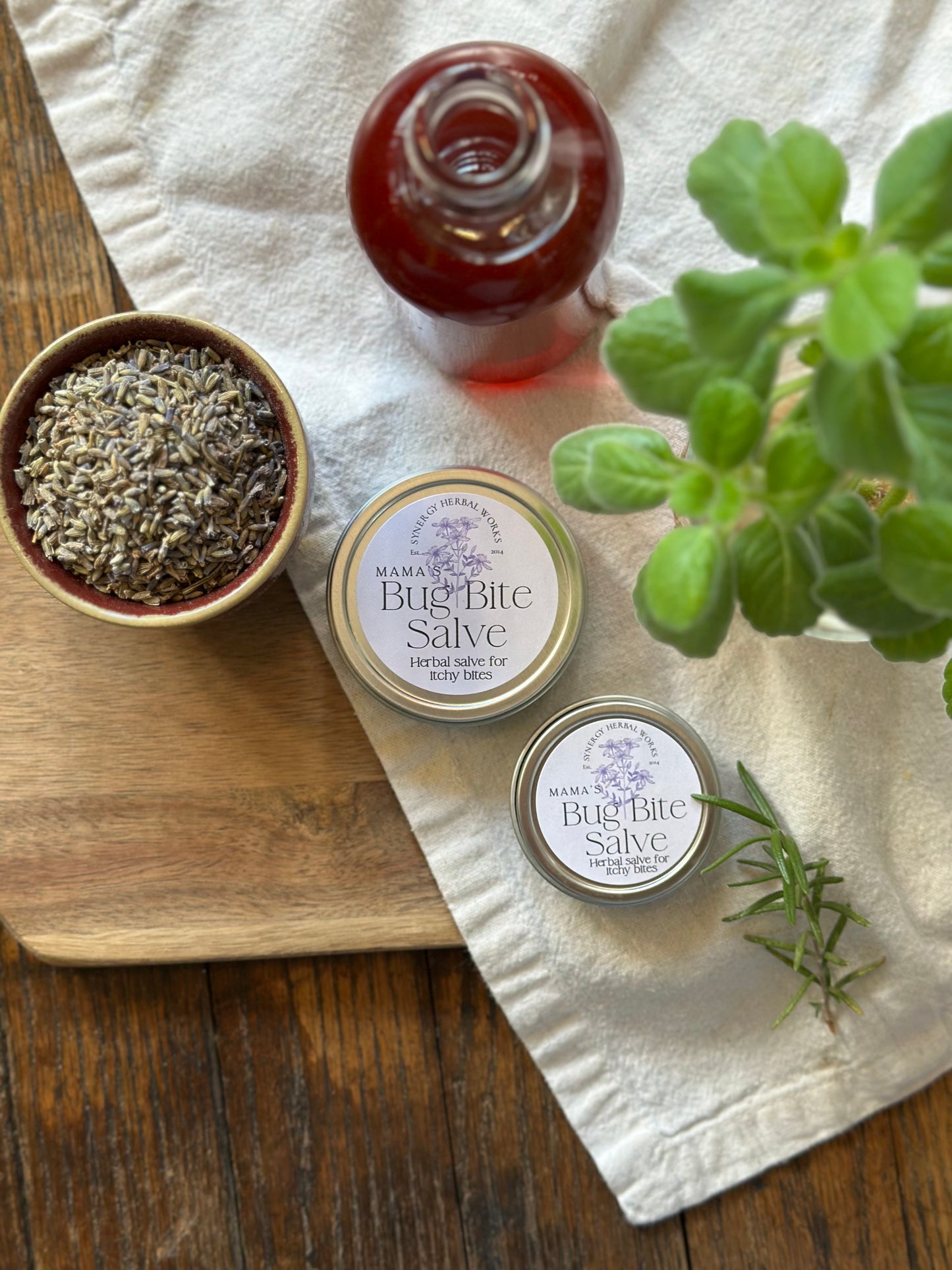 Bug Bite Salve - Natural Itch Relief - Tennessee Apothecary