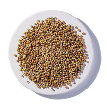 Coriander Seed 1 oz