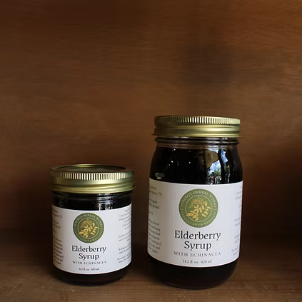 Elderberry & Echinacea Syrup – Immune Support & Wellness Blend | Synergy Herbal Works