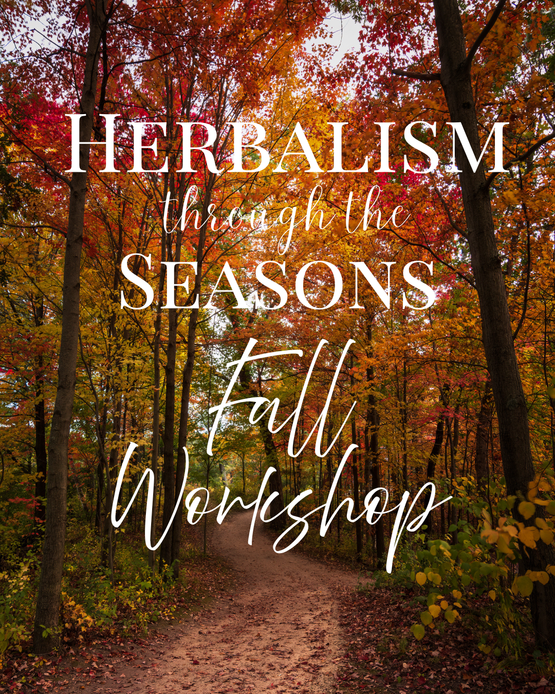RW Herbalism through the Seasons- Fall Workshop