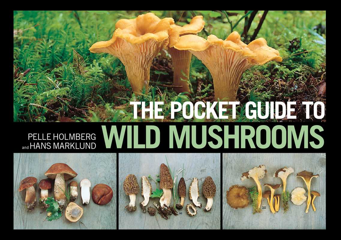 Pocket Guide to Wild Mushrooms by Pelle Holmberg