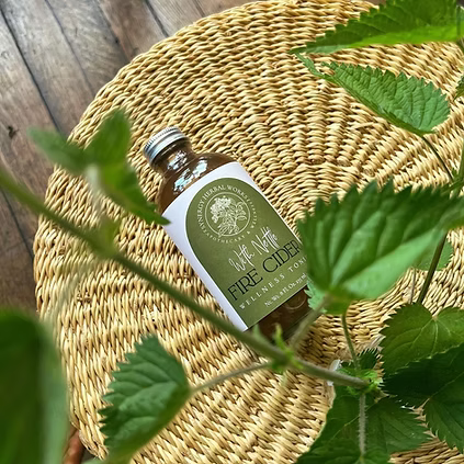 Nettle Fire Cider – Immune & Circulatory Tonic | Synergy Herbal Works