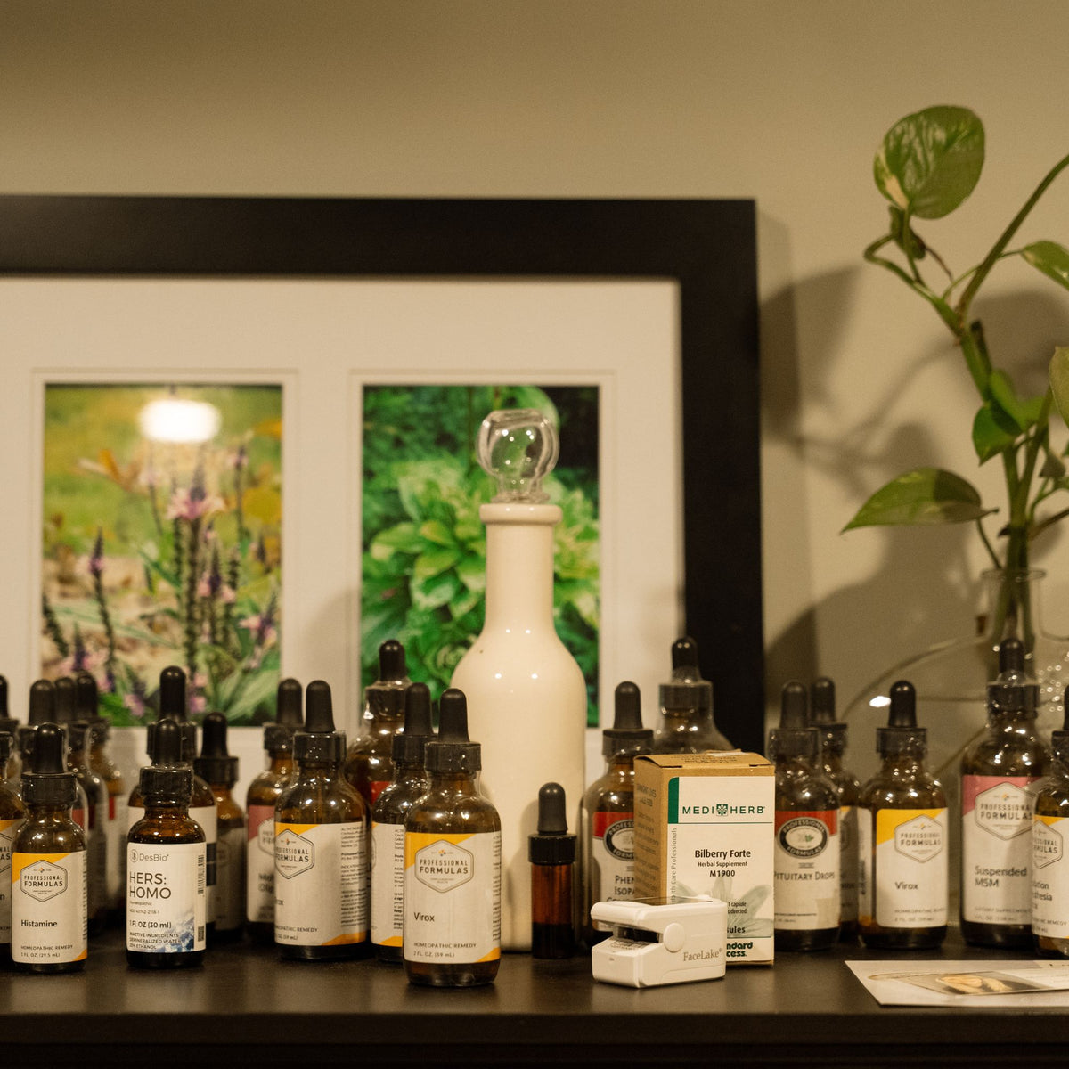 RW 30-Minute Herbal Wellness Consultation | Sparta Cookeville TN Herbalist