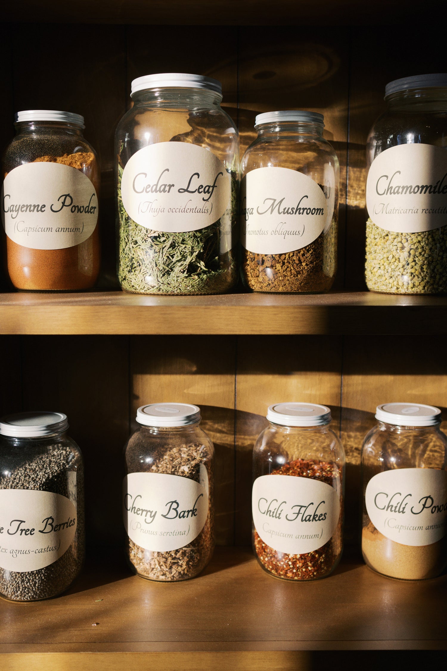 The Herb Shelf - Organic Herbs by the Ounce - Tennessee Apothecary