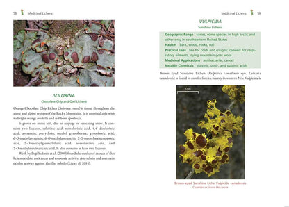 Medicinal Lichens by Robert Dale Rogers
