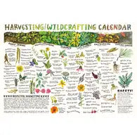Harvest and Wildcraft Calendar Poster