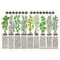 Kitchen Medicine Poster