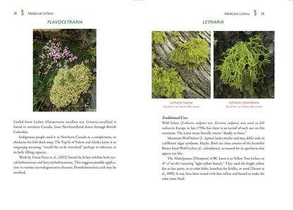 Medicinal Lichens by Robert Dale Rogers