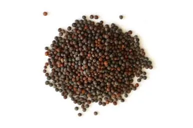 Brown Mustard Seed 1oz