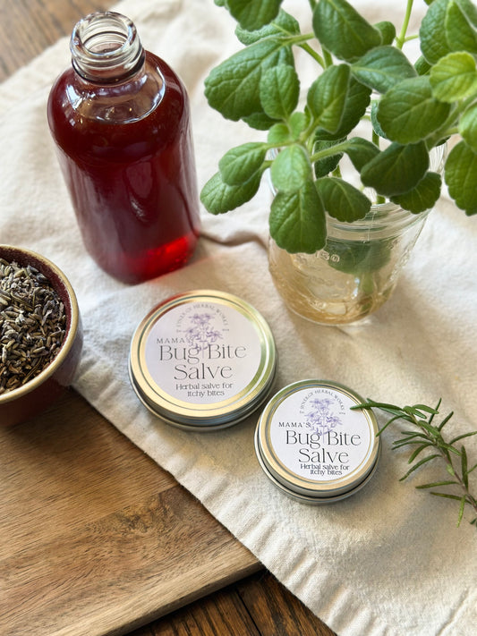 Bug Bite Salve - Natural Itch Relief - Tennessee Apothecary