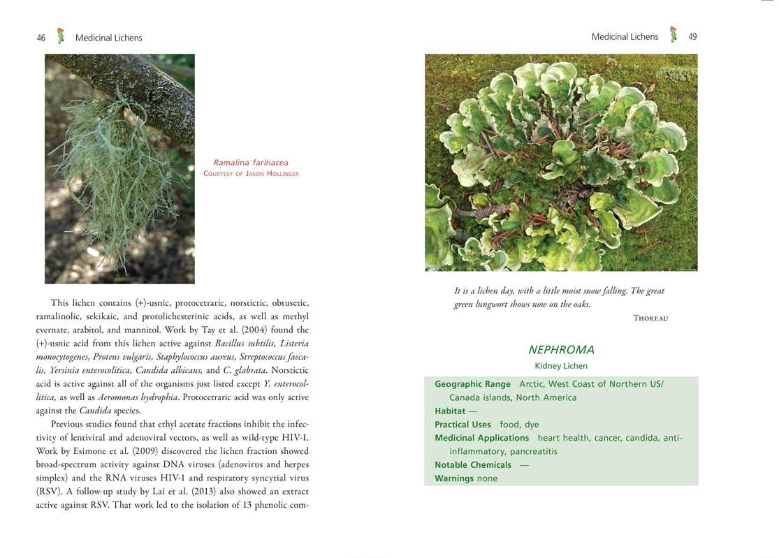 Medicinal Lichens by Robert Dale Rogers