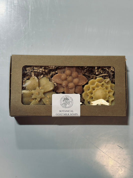Synergy Soap Sampler Box