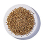 Coriander Seed 1 oz