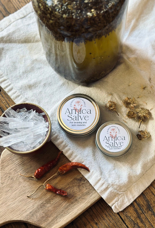 Arnica Muscle Salve - Artisan Pain Relief - Tennessee Apothecary