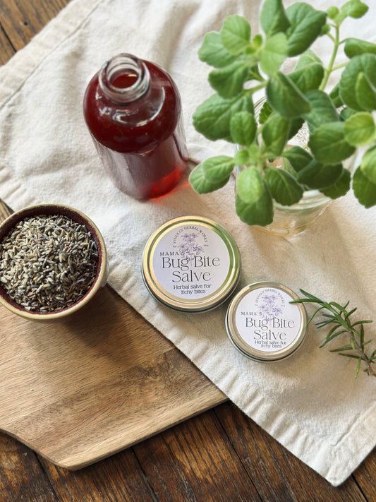 Bug Bite Salve - Natural Itch Relief - Tennessee Apothecary