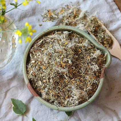 Healthy Gut Tea - Organic Herbal Digestive Support | Synergy Herbal Works