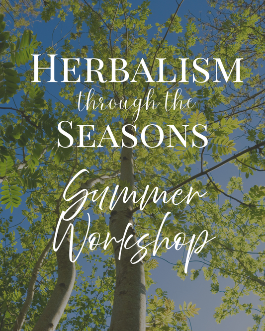 Herbalism Through the Seasons- Summer Workshop