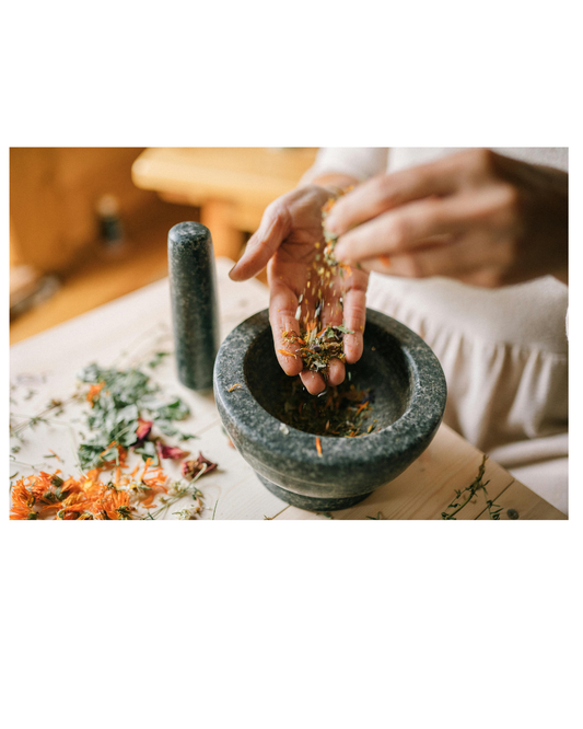RW 45-Minute Herbal Wellness Consultation | Sparta  Cookeville TN Herbalist