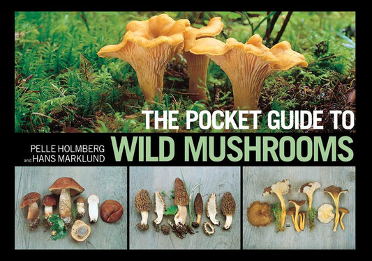 Pocket Guide to Wild Mushrooms by Pelle Holmberg