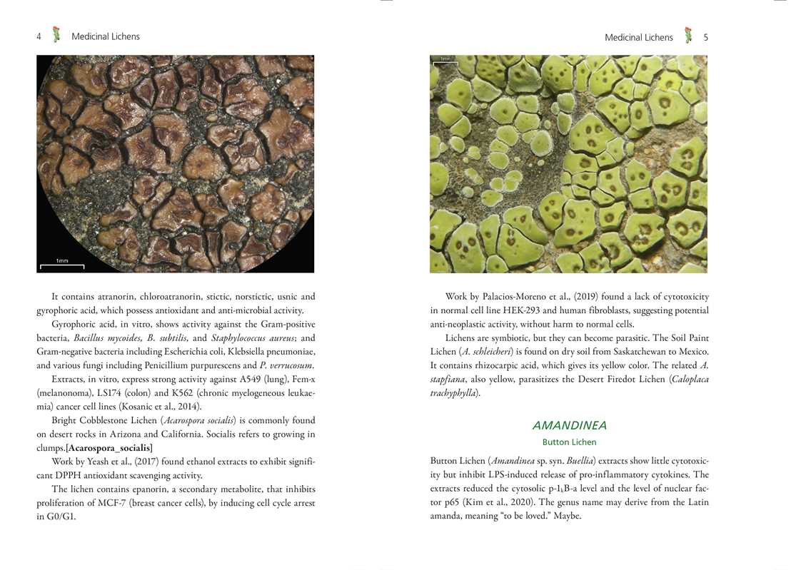 Medicinal Lichens by Robert Dale Rogers