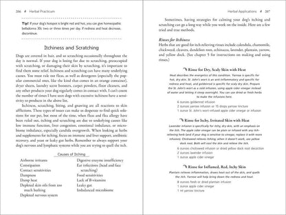 Herbal Dog by Rita Hogan