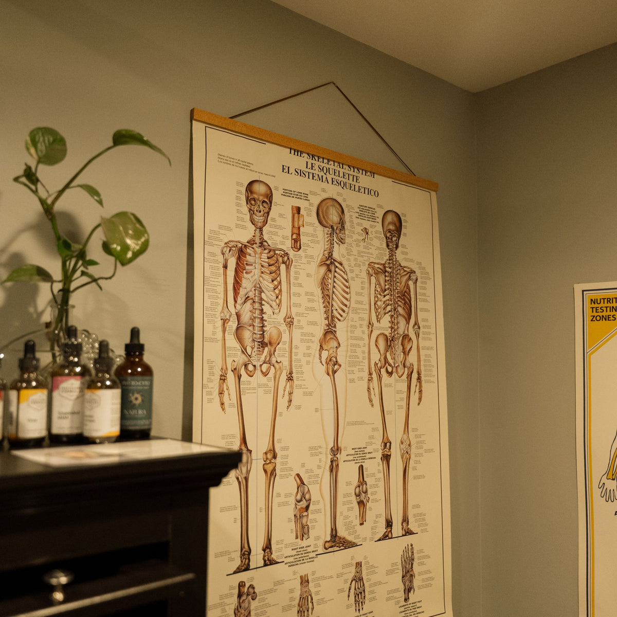 RW 15-Minute Herbal Wellness Consultation | Sparta Cookeville TN Herbalist