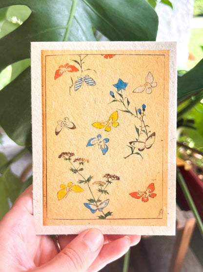 Greeting Card-Plantable Seed
